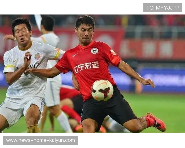 球队青训预算：国家如何科学投入培养未来人才？