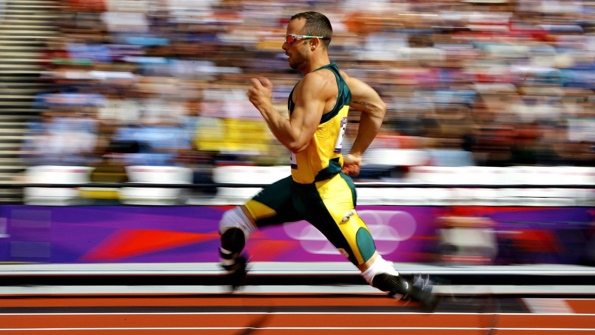 中国游泳队在国际赛事中取得好成绩